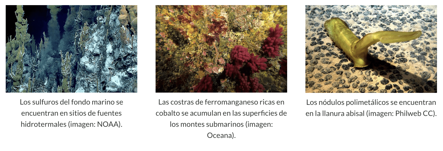 ¿Qué Es La Minería Submarina? - Oceana México